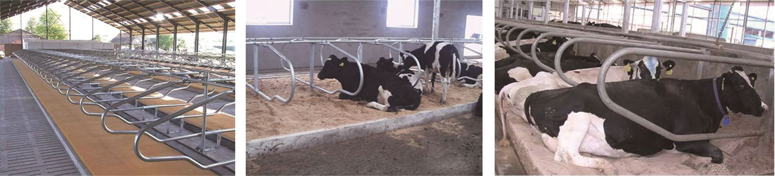 1701742466820637.jpg 風(fēng)機(jī)_39.jpg